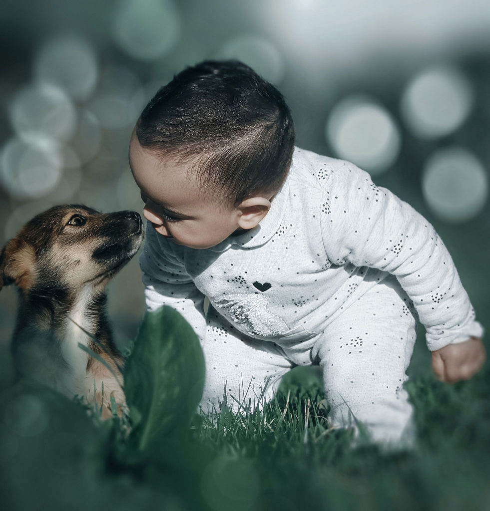 baby and puppy nose-to-nose