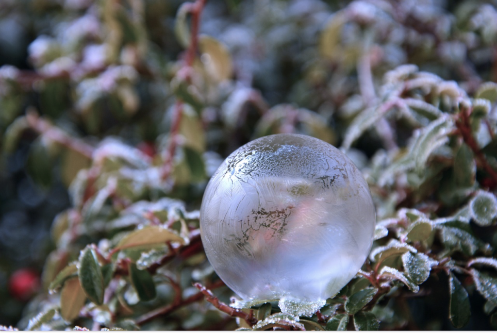 frozen bubble on frozen leaves