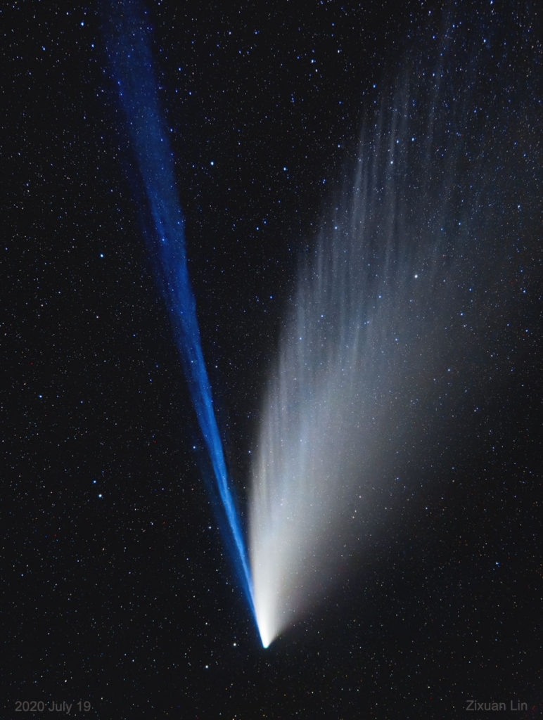 Neowise Comet