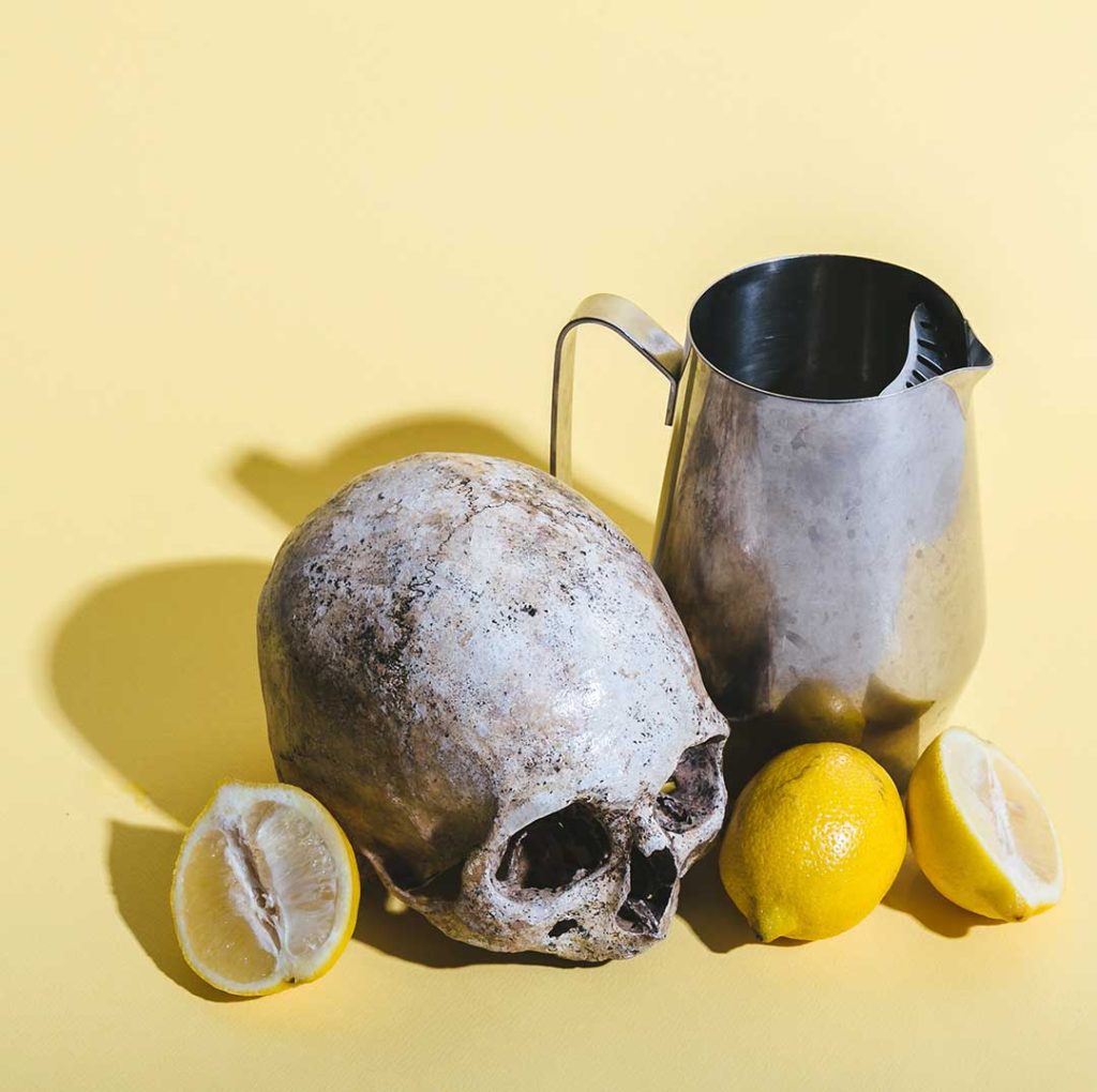 still life: skull, lemons and metal water pitcher